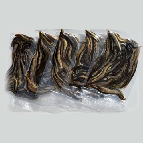 【どじょうの大河】冷凍 エサ どじょう 100g×5パック 小小【約7cm 約50匹×5P】どじょう 冷凍 エサ 釣り えさ 熱帯魚 古代魚 餌 どじょう ドジョウ つり 餌