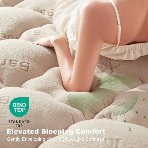 Image of BEDLORE Queen Mattress Topper , Thick Pillow Top Mattress Pad | Stretchable Pockets Fit 6 inch-18 inch Mattress, Soft Breathable Mattress Topper for Back Pain Relief and Hot Sleepers(Beige)