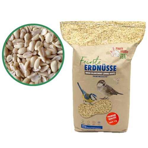 Paul´s Mühle Erdnüsse Weiss, Erdnusskerne blanchiert ohne Haut, 5 kg Neue Ernte 2025