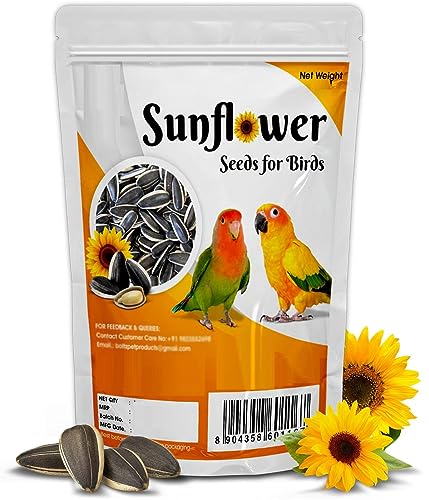 CybeXis Bird Feed Striped Sunflower Seed-[1Kg]