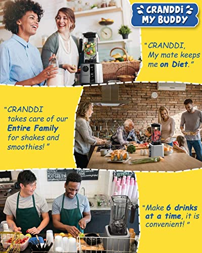 Cranddi Unique Commercial Blenders With 1800 Watt And 80Oz Bpa-Free Container, Professional High-Speed Countertop Blenders For Smoothies,Self-Cleaning,K95 New Silver #TOP3