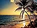 DIY 5D Diamond Painting by Number Kit,Full Drill Embroidery Cross Stitch Arts Craft Home Night Beach View 11.8 X 15.7 Inch ¡­