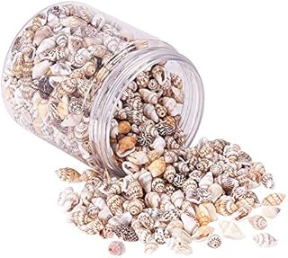 PandaHall 200g 2 Styles Tiny Sea Shell Ocean Beach Spiral Seashells Craft Charms for Candle Making Home Decoration Beach Theme Party Wedding Decor Fish Tank and Vase Filler(1mm/1.2mm Hole)
