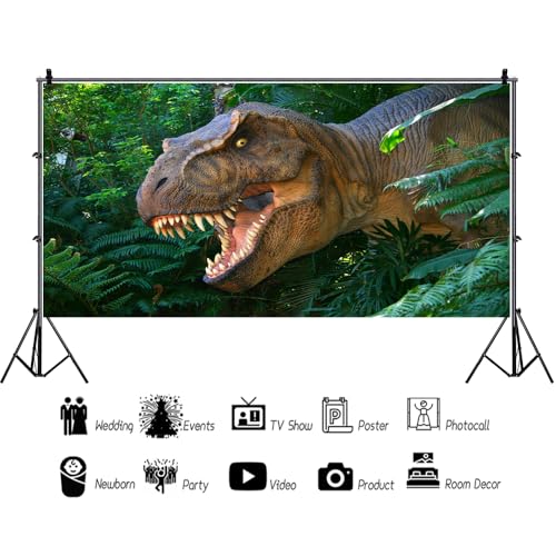 Professional Photography Backdrop System