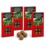 Saatkugeln Kräuter 32 Stück | Kräutersamen Set Petersilie, Schnittlauch, Dill, Basilikum & Oregano | Saatbomben Küchenkräuter | Saatgut Kräuter für Balkon & Garten | Samenbomben | Seedbombs