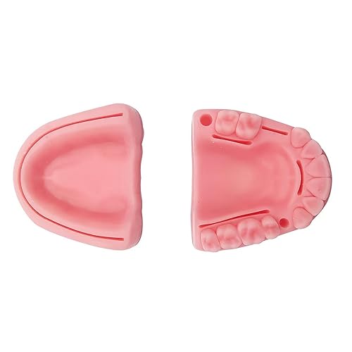 Vista 12 de Kit de práctica de sutura, kit de sutura oral para entrenamiento de sutura para dental, 21 piezas que incluye silicona suave biónica oral múltiples
