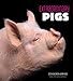 Extraordinary Pigs