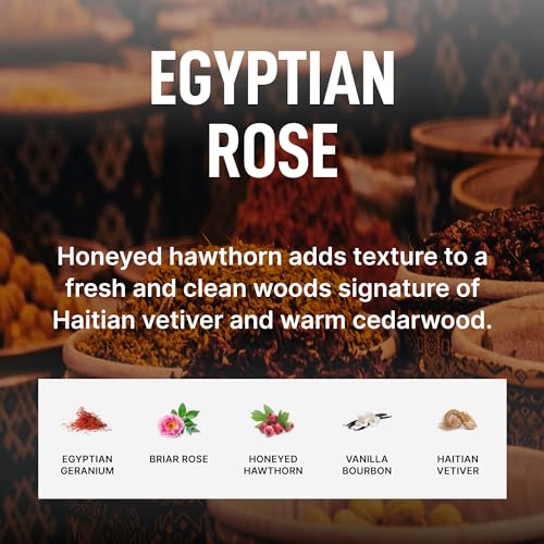 Image of Laundry Sauce - Pods & Scent Booster Bundle (Egyptian Rose), Essential Oils