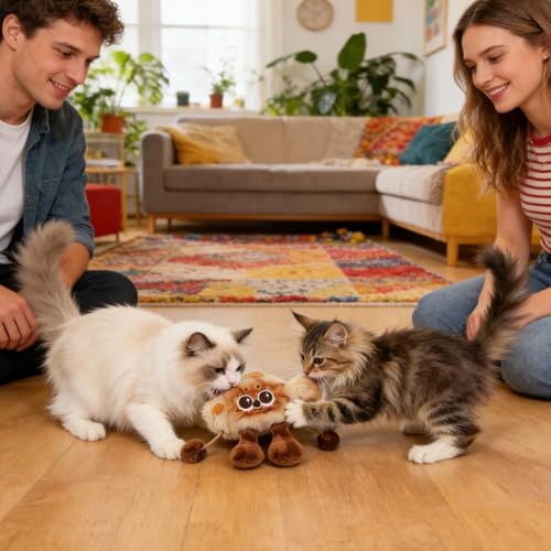 Jouet interactif pour chat d'intérieur contre l'ennui des chatons - 4