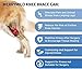 MerryMilo Dog Knee Brace for Torn ACL & Hind Leg Support – Adjustable Dog Hip & Leg Brace for Cruciate Ligament, Arthritis Relief, Joint Stability & Injury Recovery, Color: Black, Size: XXL