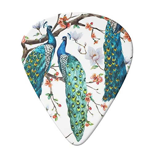 Beautiful Peacock Flowers Lot de 6 médiators pour guitare acoustique, guitare électrique, basse, ukulélé – fins, moyens… - Les Beatles, Paul McCartney, John Lennon, RIngo Starr, George Harrison Beautiful Peacock Flowers Lot de 6 médiators pour guitare acoustique, guitare électrique, basse, ukulélé – fins, moyens… – Image 4