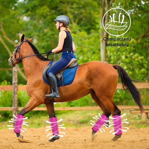 Image of Fly Boots for Horses Set of 8 Breathable Mesh Design Protection from Insect Pests for Reduce Stomping, Hoof Damage & Leg Fatigue (Blue-Rose, Large)