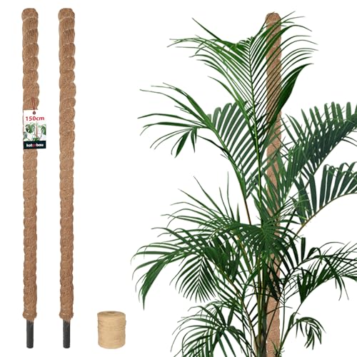 KOTARBAU Lot de 2 bâtons de mousse pour Monstera Coco Natural - Diamètre : 3,2 x 150 cm - Tuteur pour plantes Monstera - Tuteur de coco