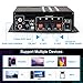 AK-380 Bluetooth Amplifier with Remote Control Function, 2.0 Bluetooth Amplifier Supports Bluetooth/USB/AUX/RCA Input and FM Radio Function (with 12V/5A DC Power Supply)