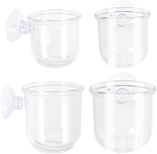 POPETPOP Terrários 4pcs copos de alimentação de vidro de vidro alimentadores de peixes vermelhos alimentadores de cone de vidro de vidro alimentadores de camarão Terrário