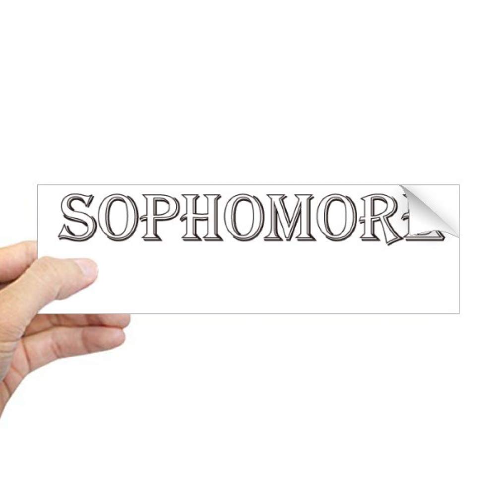 Sticker rectangulaire pour fenêtre masquer le vis-à-vis style Sophomore