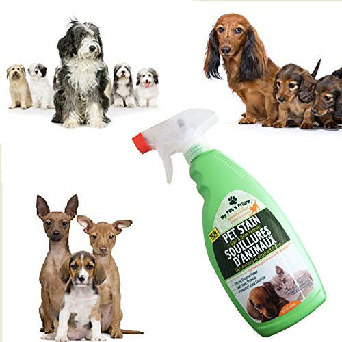 image for My Pet's Friend Pet Urine Remover