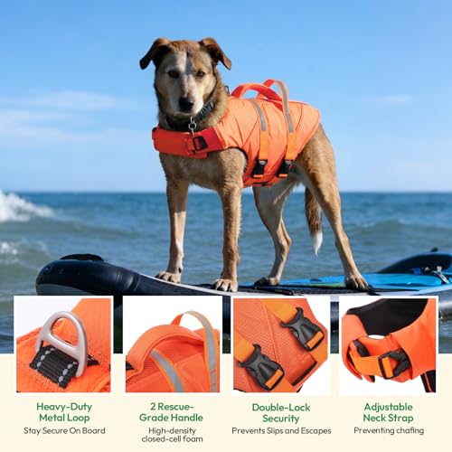 Aide à la nage chien taille moyenne pour nager sans s'épuiser - 4