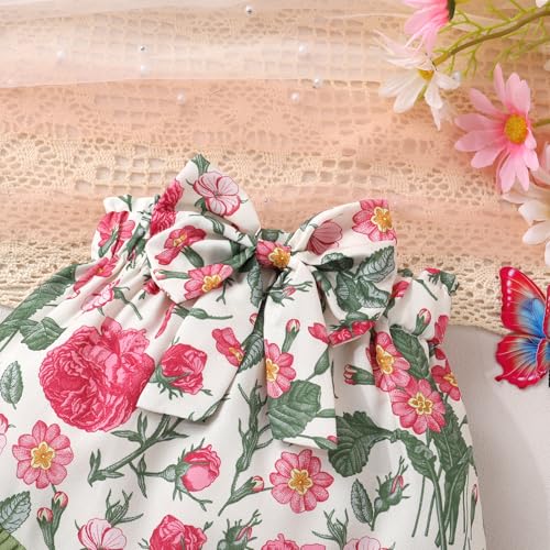 Tiny Cutey Newborn Infant Baby Girl Clothes Romper Floral Shorts Set Summer Outfits Baby Girls' Clothing4