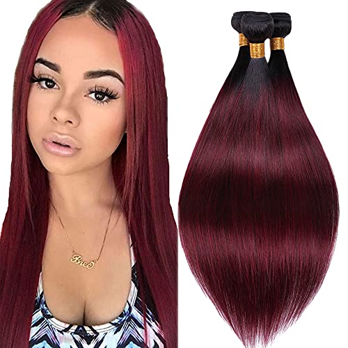 Freiuoke Bundles Hunman Hair 1b/99j Burgundy Human Hair Bundles Ombre Peruvian Hair Bundles 3 Bundles Two Tone Black to Wine Red Silky Straight Human Hair Weaves 300g（24 26 28 inches）