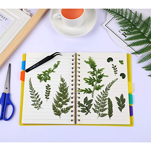 42 Pieces Dried Pressed Leaves for Resin Real Assorted Dried Greenery for Pressed Leaf Art Craft DIY Embellishment Decorations, 7 Styles