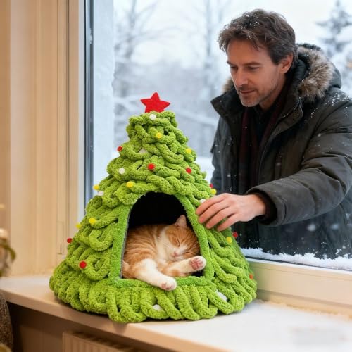 Maison pour chat de Noël à offrir en cadeau pour abri chaud de chaton - 4