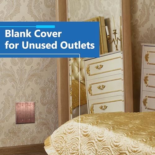 Image of LIDER Blank Metal Wall Plate, Stainless Steel Blank Outlet Cover, Corrosion Resistant, Mid-Size 2-Gang 4.88 inch x 4.92 inch, 201 Stainless Steel, LMWP-02M-AC, Antique Copper