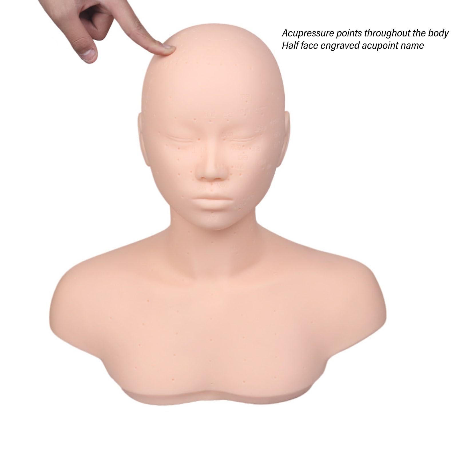 Testa di manichino per allenamento pratica, versatile, morbida e confortevole al tatto, modello con spalla per massaggio, cura di bellezza, agopuntura, pratica in PVC ad alta densità, gomma