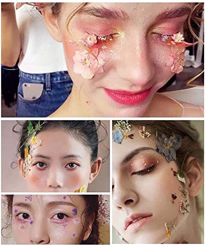 image for TAEERY 51 PCS Real Dried Pressed Flowers Leaves Petals for Crafts - Co