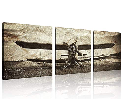 3 Panels Vintage Plane Picture
