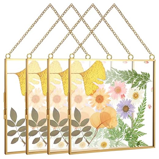 4 Pieces Double Glass Frame for Pressed Flower 6 x 6 Inch, Brass Hanging Glass Picture Frame Clear Square Floating Frames with Chains for Photo Display Handicraft or Other Small Flat Items, Gold