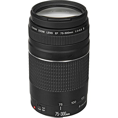 Amazon.com : Canon EOS 6D Mark II DSLR Camera with Canon EF 75 