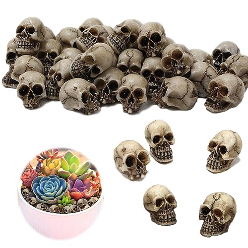 BGNXHYB 20PCS Halloween Mini Cráneo, Mini Calaveras, Minifiguras de Calaveras de Halloween, decoración de Maceta, para Haunted House, Halloween Horror Party, Decoración para Halloween