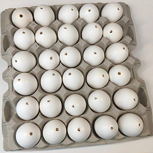 DAONEG My Egg Shells 30 - Large Blown Chicken Egg Shells - Save 2-3 Hours of Work And a Huge Mess