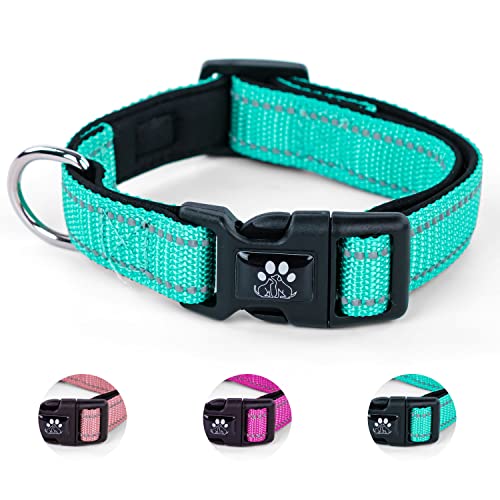 NESTROAD ����� ���߉\ ��Ԕ��� ���^���E���^���E��^���p �S����Ή� ������� ���b�V�� �ʋC�� ���S �P���p ���b�V�� �\�t�g �ɂ��Ȃ� �ȒP���� ��v (�O���[��,XS)