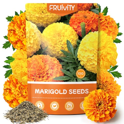 Fruivity Petite Heirloom French Marigold Seeds for Planting, 400+ Flower Seeds Perennial Seed...