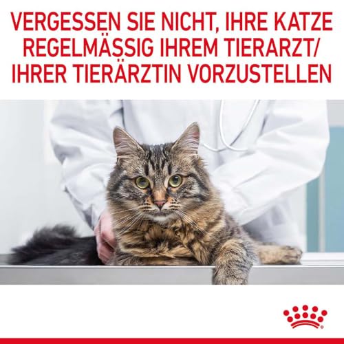 ROYAL CANIN LEIGHT Weight Care Katzenfeuchtnahrung in Gelee – 12 x 85 g