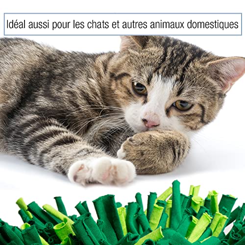 Bella & Balu Tapis de fouille pour Chien -Tapis Dressage Chien pour la Stimulation de l'odorat de Votre Animal - Image 6