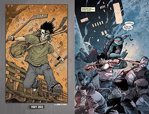 Teenage Mutant Ninja Turtles: The IDW Collection Volume 2