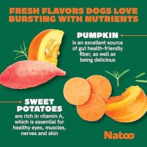Natoo Dog Biscuits for Small Dogs  Puppies Crunchy Dog Treats Sweet Potato  Pumpkin Healthy Natural Dog Biscuits Rich in Omega 6 Prebiotics  Fibers Antioxidants for Immunity 8 Oz  Cucciolini Doodles Natoo dog biscuits for small dogs  puppies crunchy dog treats sweet potato  pumpkin healthy natural dog biscuits rich in omega 6 prebiotics  fibers antioxidants for immunity 8 oz   cucciolini doodles