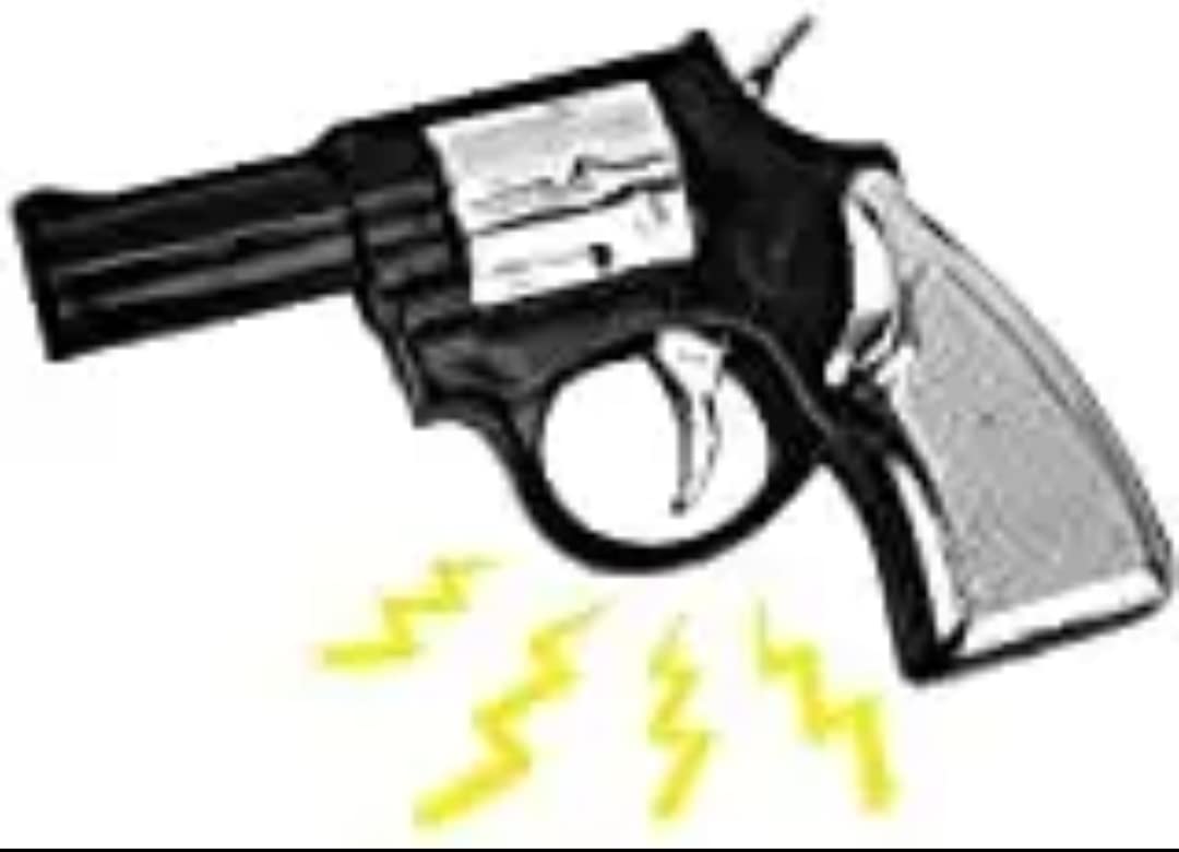 K N Handicraft Present Electric Shock Toy Gun Gang Tricky Light Prank To Giving Shocks To Friends For Fun,Black (B0BQ419HBP) Amazon Price History, Amazon Price Tracker