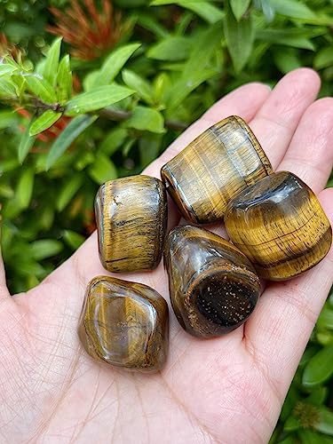 Image of 1 /2 LB Tiger Eye Tumbled Stones, Polished Natural Tiger Eye Gemstone, Tiger Eye Healing Crystals (Tiger Eye)