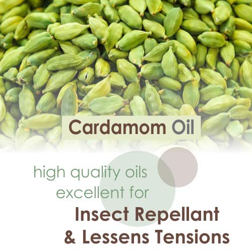 Image of Crysalis Cardamom Oil 50 ml (1.69 fl oz) - Warm Spice Aromatic Oil for Skincare, Haircare, DIY Formulations, Soaps & Cream Blends