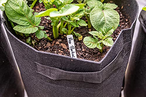 Image of Gardzen 6 Pack BPA-Free 10 Gallon Vegetable Grow Bags with Access Flap and Handles, Suitable for Planting Potato, Taro, Beets, Carrots, Onions, Peanut