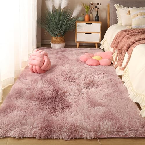 Tapis de Salon Antidérapant et Lavable pour Sol Moderne