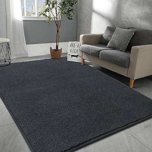 Rururug Teppich Wohnzimmer 120x170 cm, Mikrofaser Kurzflor Teppich Waschbar Schlafzimmer Teppich Weich Flauschig, Modernes Einfarbig Design Rugs for Living Room, Anthrazit