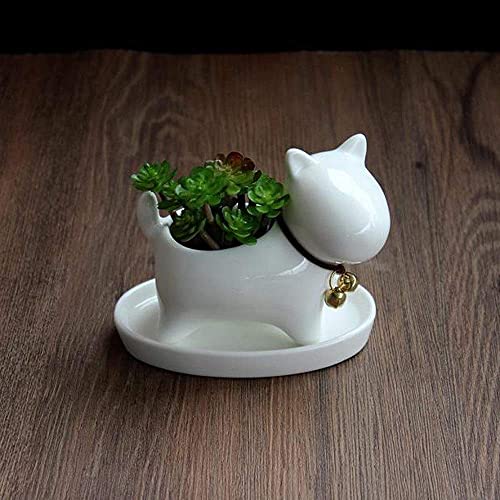 Macetas de perro para escritorio y decoración de mesas de salón modernas 4