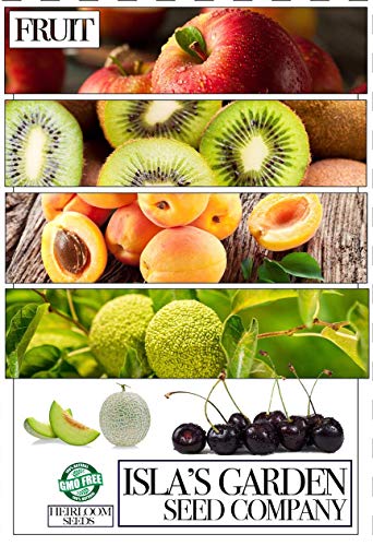 American Red Plum Tree Seeds For Planting, 5 Fruit Seeds Per Packet, (Isla's Garden Seeds), Non Gmo & Heirloom Seeds, Botanical Name: Prunus Americana, Great Home Garden Gift #TOP3