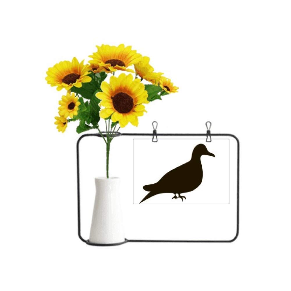 Carte de bénédiction pigeon noir pour sublimer vos soirées d'anniversaire