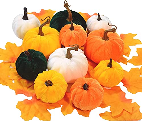 Atoke 12Pcs Artificielle Citrouilles Set, Faux Velours Artificiel Petites Citrouilles Foglie di Acero Decorazioni Autunnali pour Halloween, Automne et Thanksgiving Party Décoration Cover